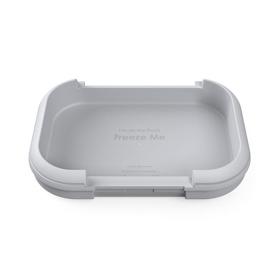 bentgo-chill-kids-replacement-ice-pack-u0 BGOCHIP.jpg