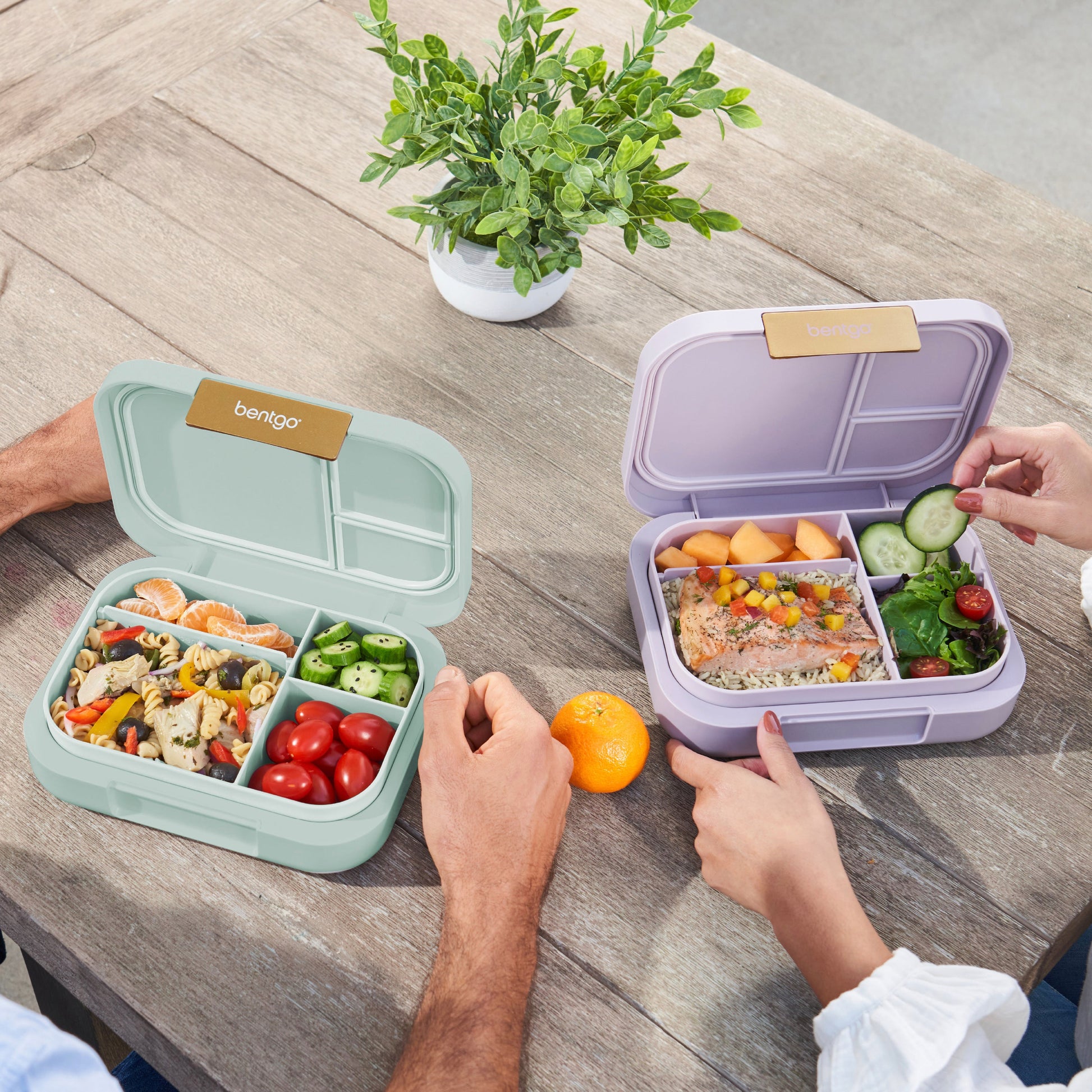 bentgo-modern-lunch-box-2-pack-y5 COSTCOBMCPRODUCTIMAGE_2.jpg